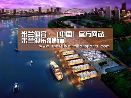 案例展示八
