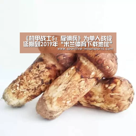 《机甲战士5:雇佣兵》为单人战役延期到2019年“米兰体育下载地址”(图3) 米兰体育下载地址