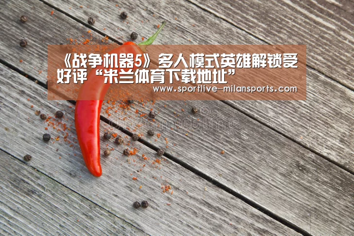 《战争机器5》多人模式英雄解锁受好评“米兰体育下载地址”(图2) AC米兰